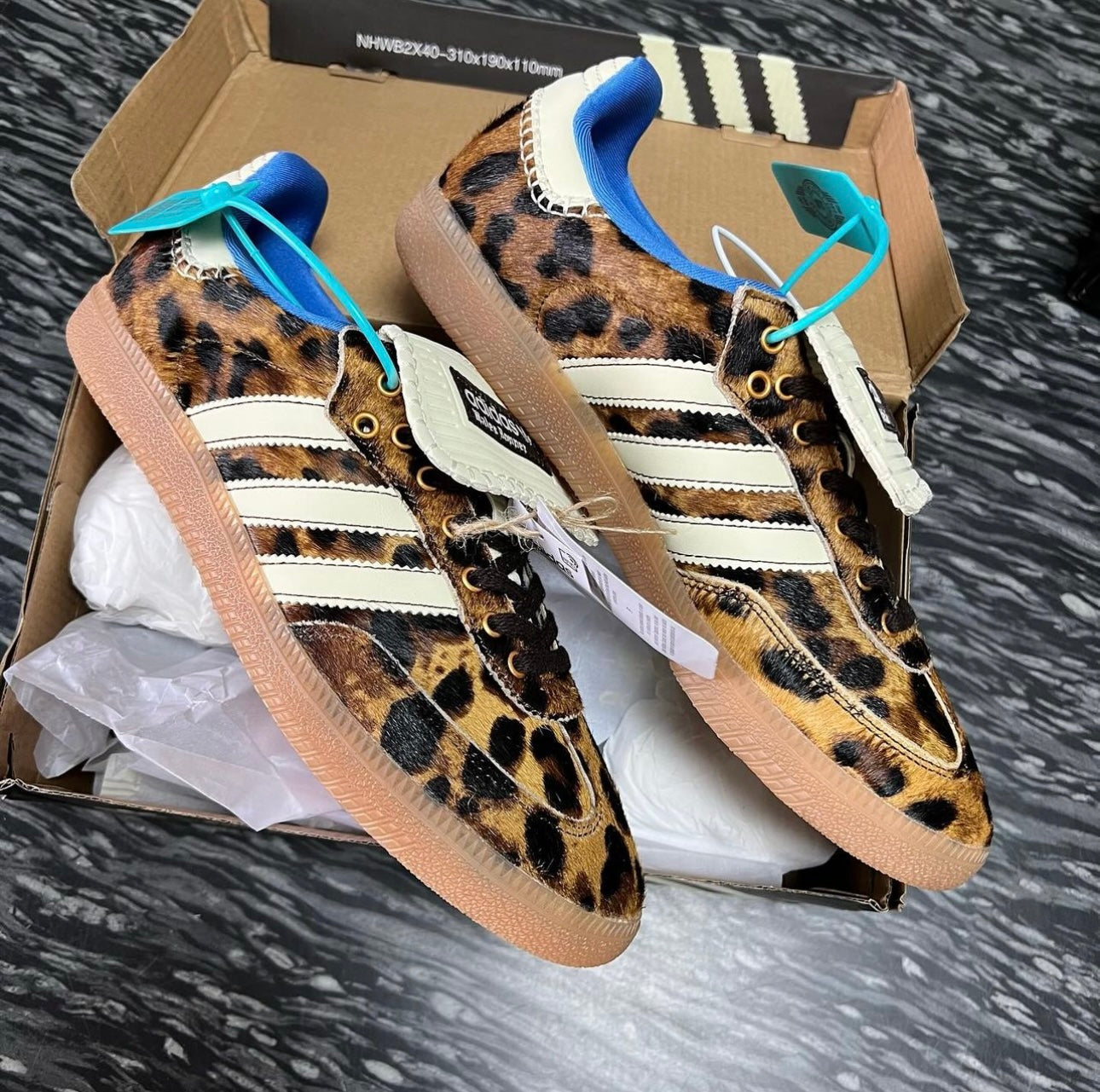 Samba Trainers